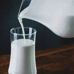 Fresh Milk 1L